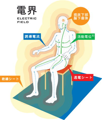 電界医療機器とは？